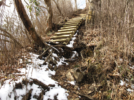 20160218hike (443)